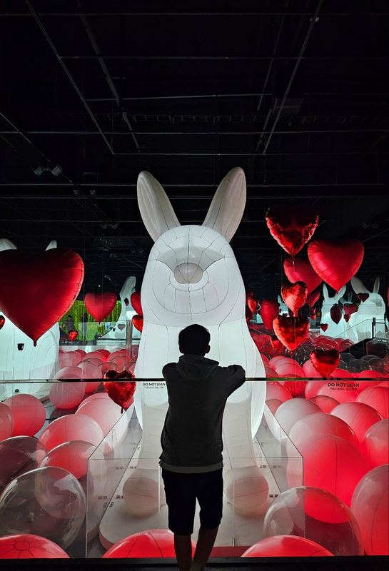 Mark looking out over an immersive art installation of white rabbits and red heart balloons